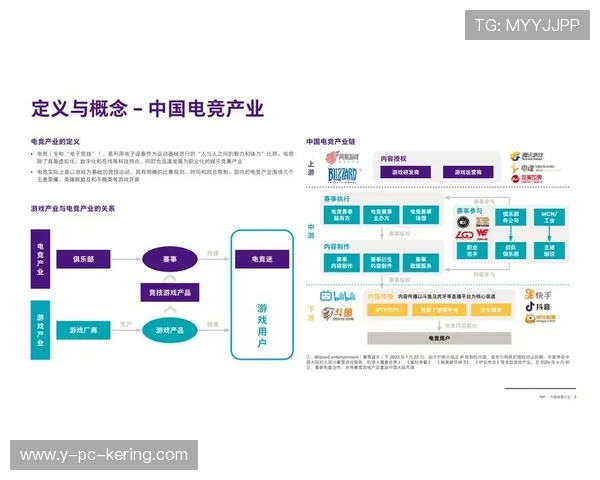 电竞行业崛起与挑战如何塑造未来数字娱乐新格局