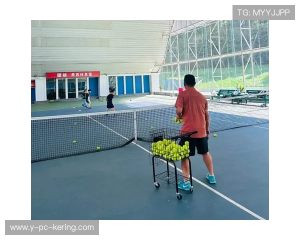 南京网球队的意识探讨与发展现状分析及未来展望 南京网球队的意识探讨与发展现状分析及未来展望