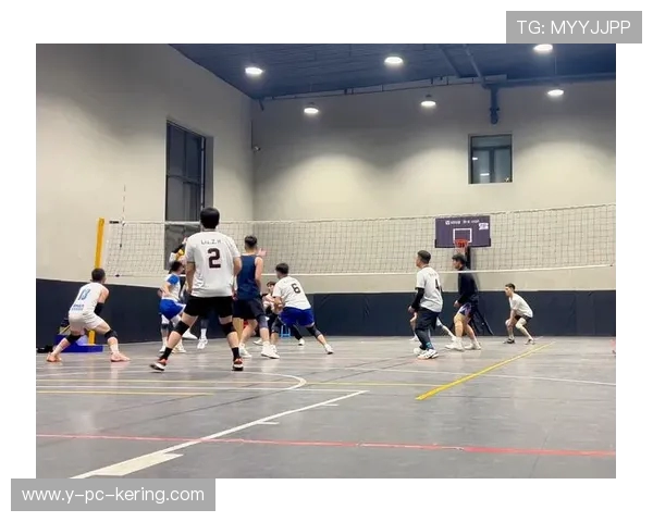 成都排球队个人能力分析与发展潜力探讨 成都排球队个人能力分析与发展潜力探讨