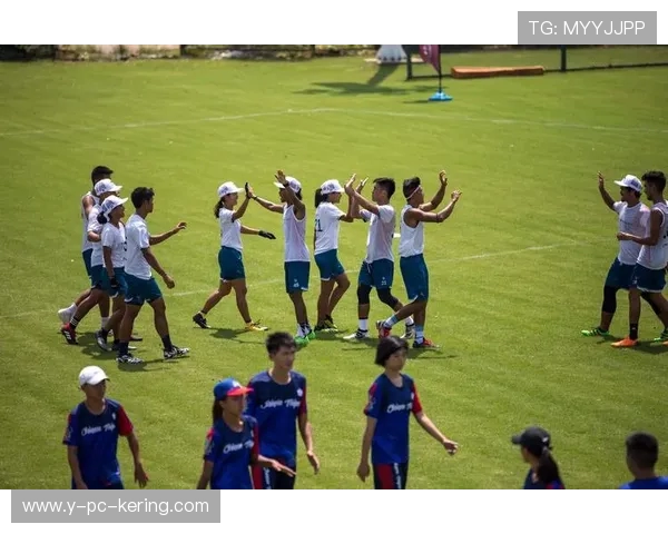 飞盘运动的魅力与团队默契西安飞盘队的协作之道探秘