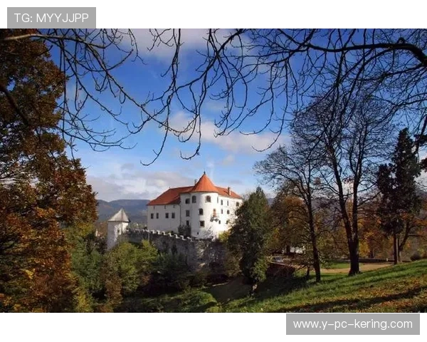 以色列与斯洛文尼亚激战正酣欢呼吧让我们一起为他们加油助威